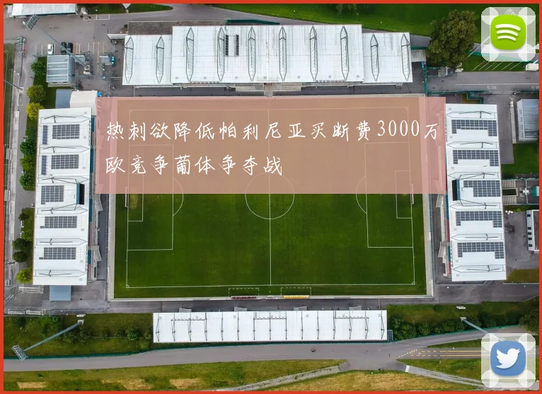 热刺欲降低帕利尼亚买断费3000万欧竞争葡体争夺战