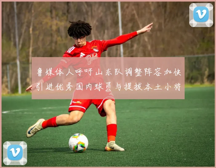 鲁媒体人呼吁山东队调整阵容加快引进优秀国内球员与提拔本土小将